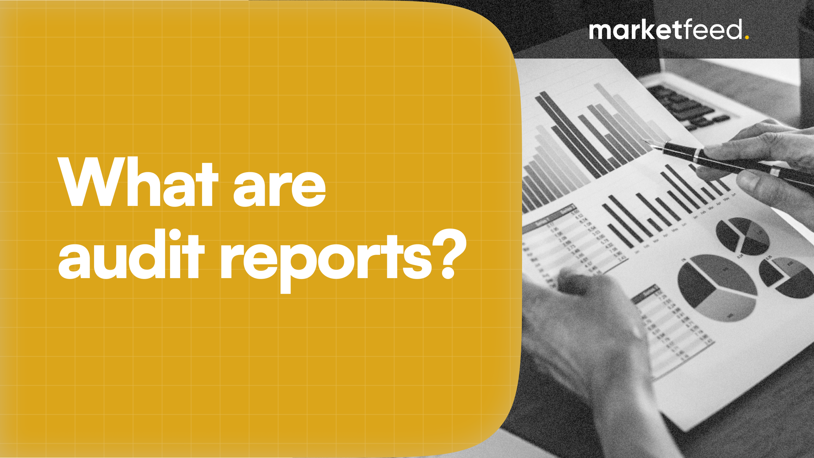 what are audit reports? | marketfeed