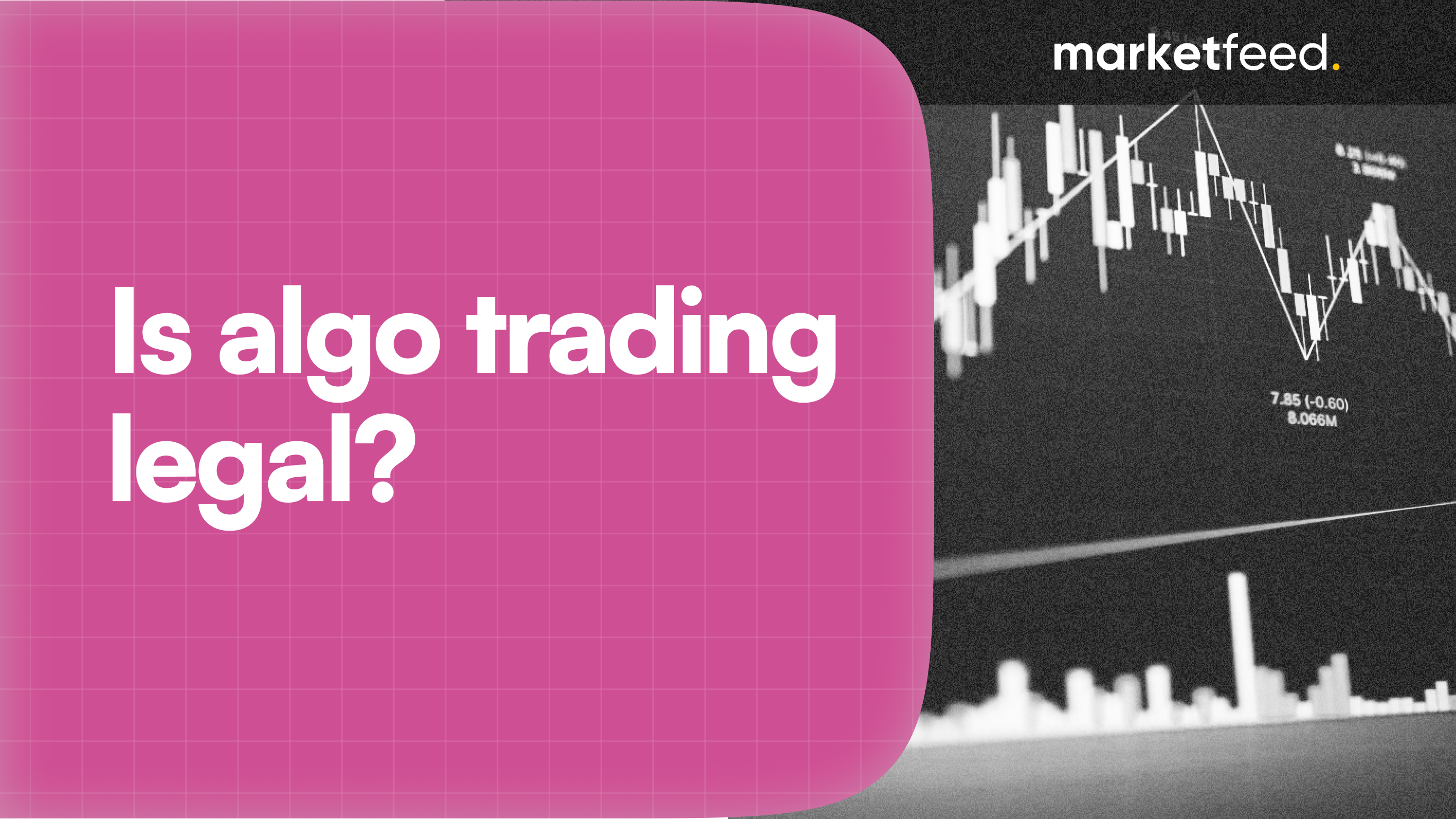 algo trading in India | marketfeed