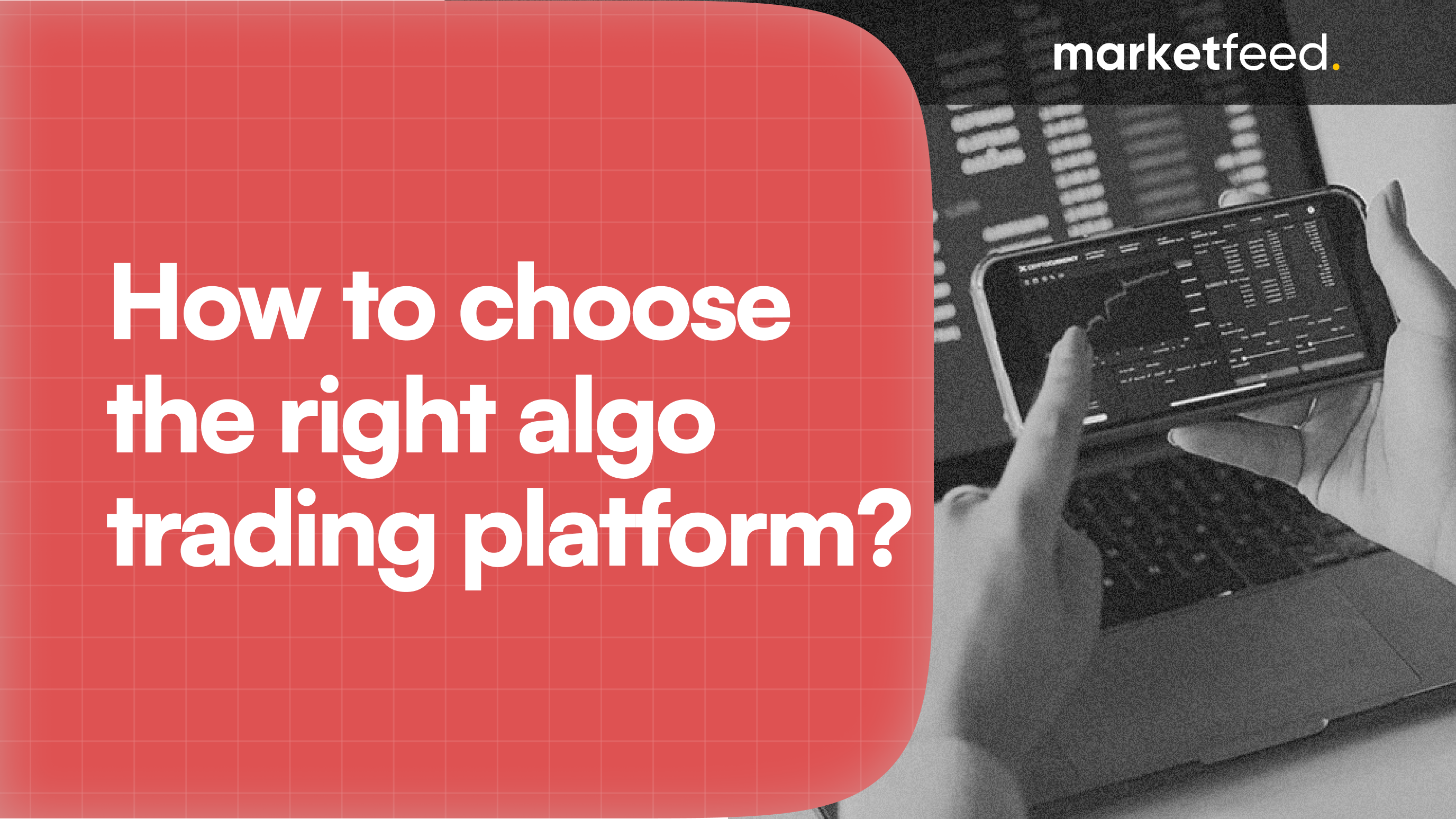 choose algo trading platform | marketfeed